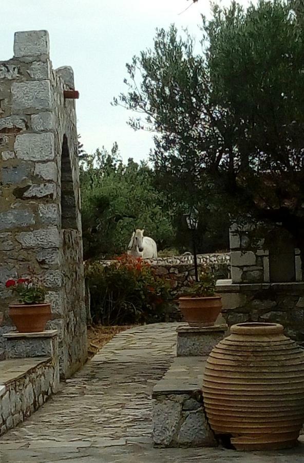 Charouda Stone Tower Apartment Pírgos Dhiroú Екстериор снимка